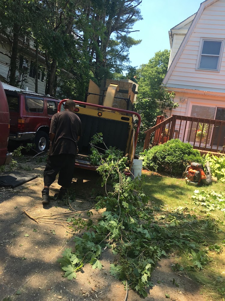 Corbett's Lawn Care