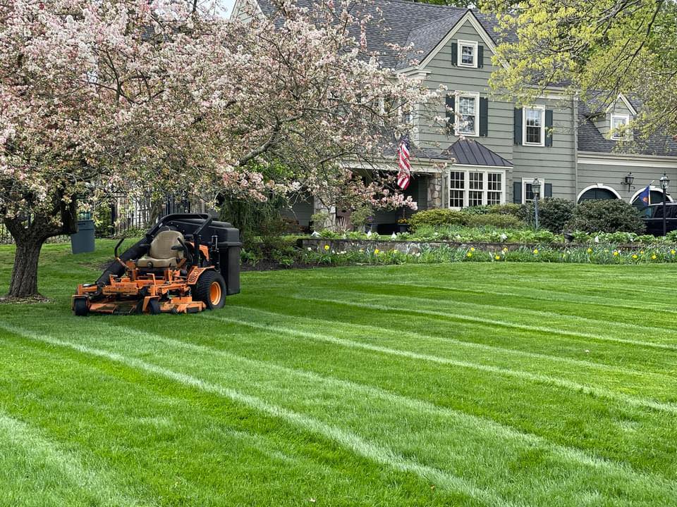 Orange Landscaping LLC