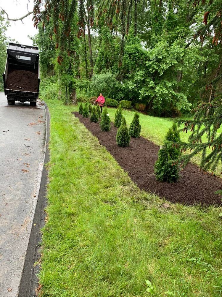 Illescas Lawn Maintenance LLC